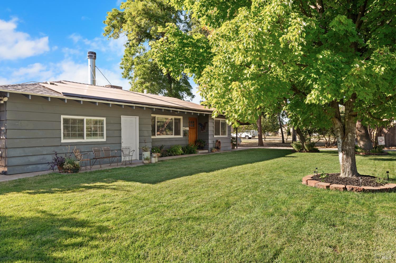 a view of a house with a yard and tree s