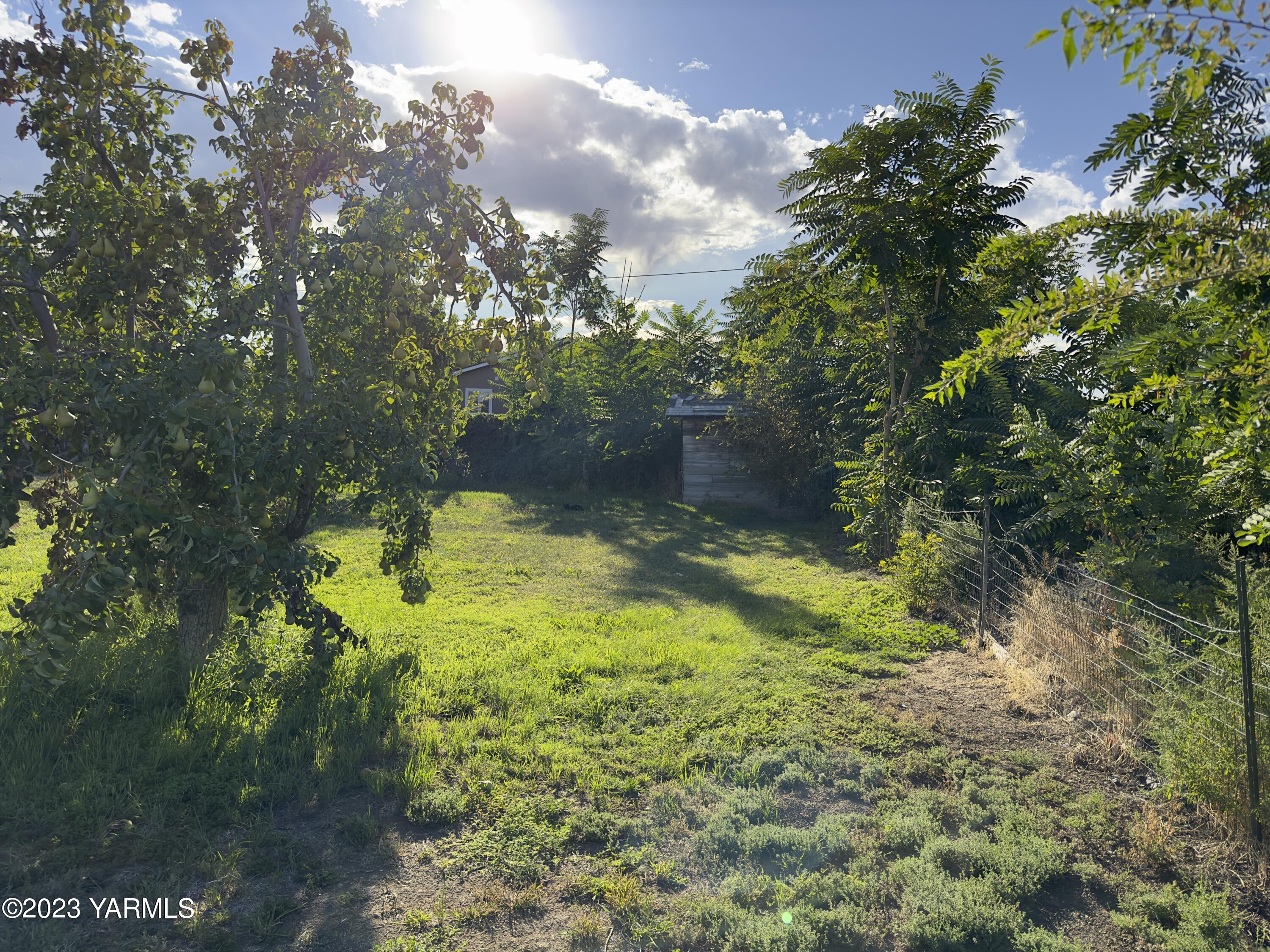 450 Main Street Parker, WA 98939 - Photo 7 of 18 a backyard of a house with lots of green space