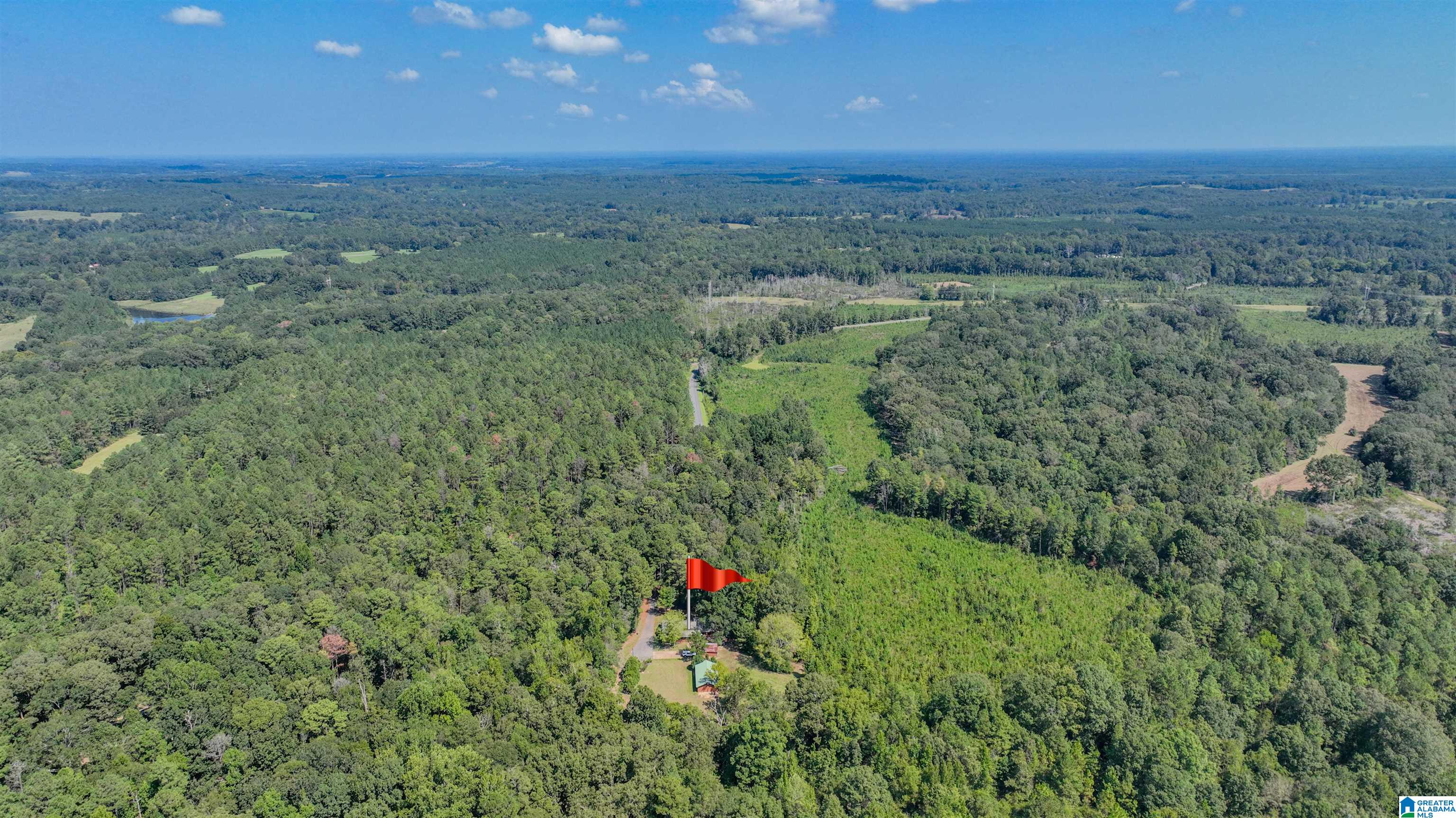 1095 Forkland Park Road Forkland, AL 36740 - Photo 42 of 45