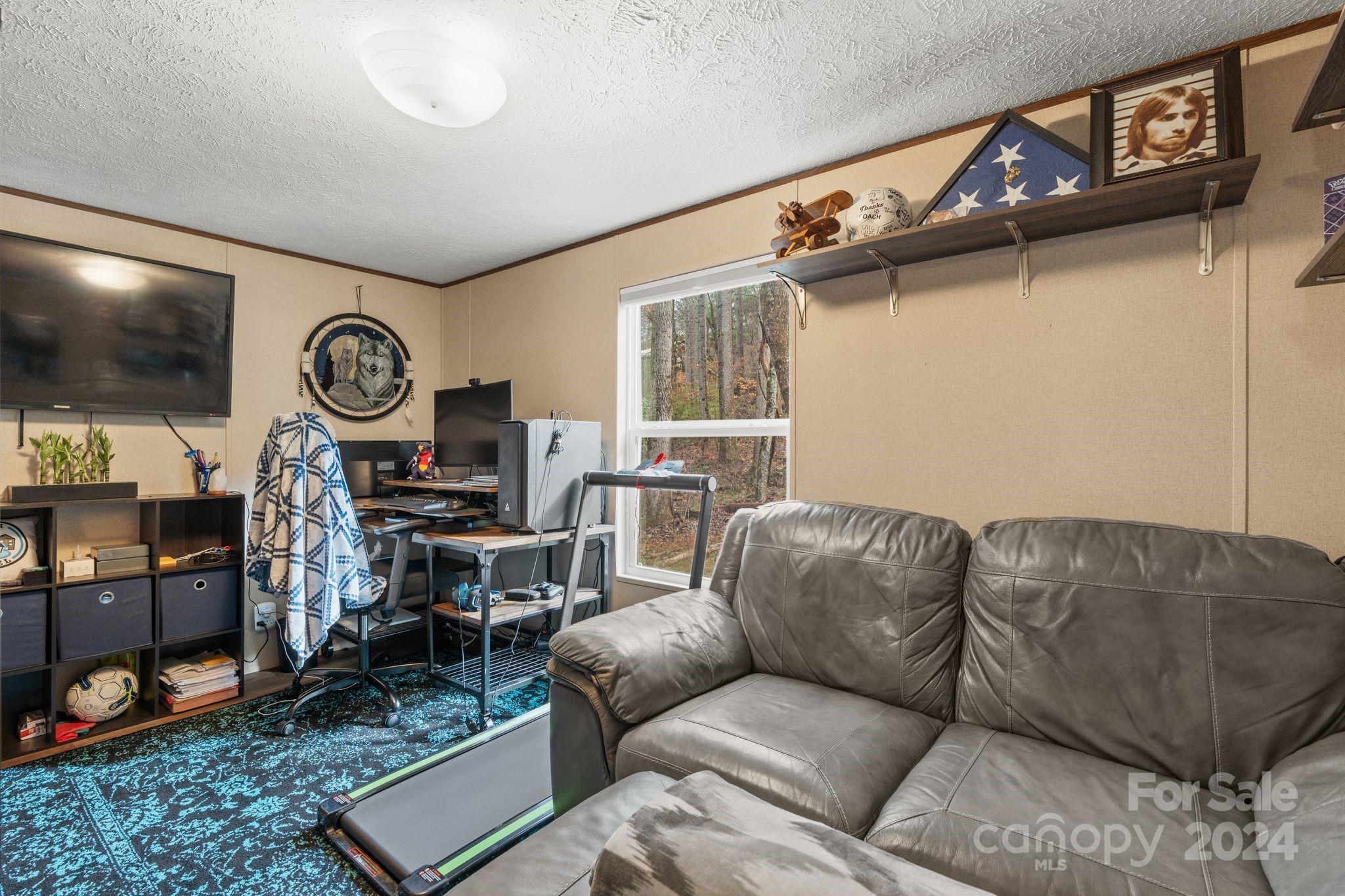 29 Long Ridge Road Candler, NC 28715 - Photo 17 of 26 Gallery Image 17