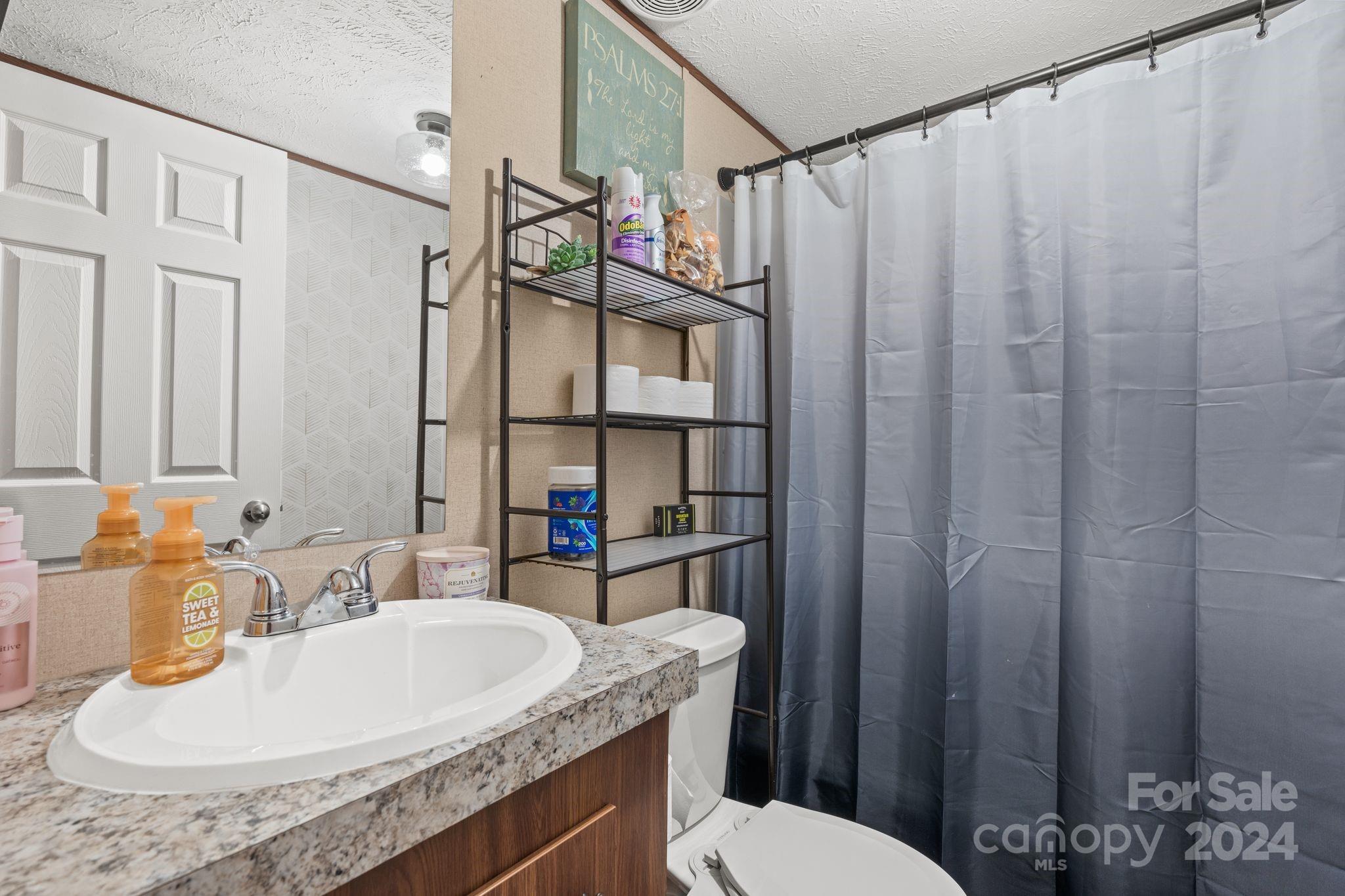 29 Long Ridge Road Candler, NC 28715 - Photo 19 of 26 Gallery Image 19