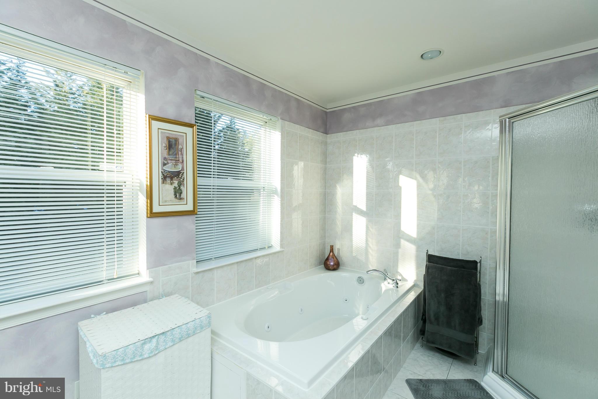 6824 Old Pimlico Road Baltimore, MD 21209 - Photo 12 of 20 a bathroom with a bathtub and a sink