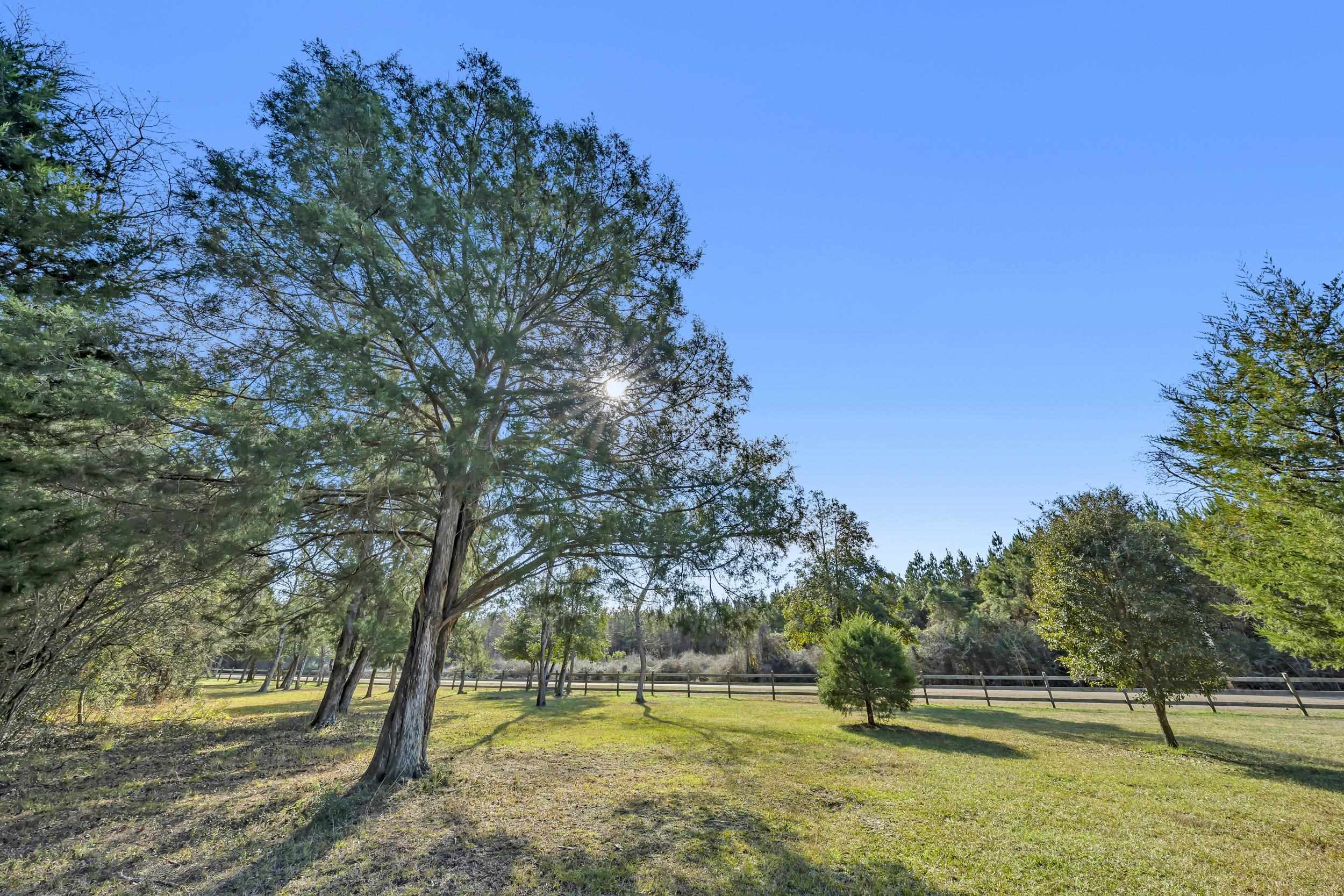 16691 Mosley Road Stapleton, AL 36578 - Photo 13 of 32 Yard