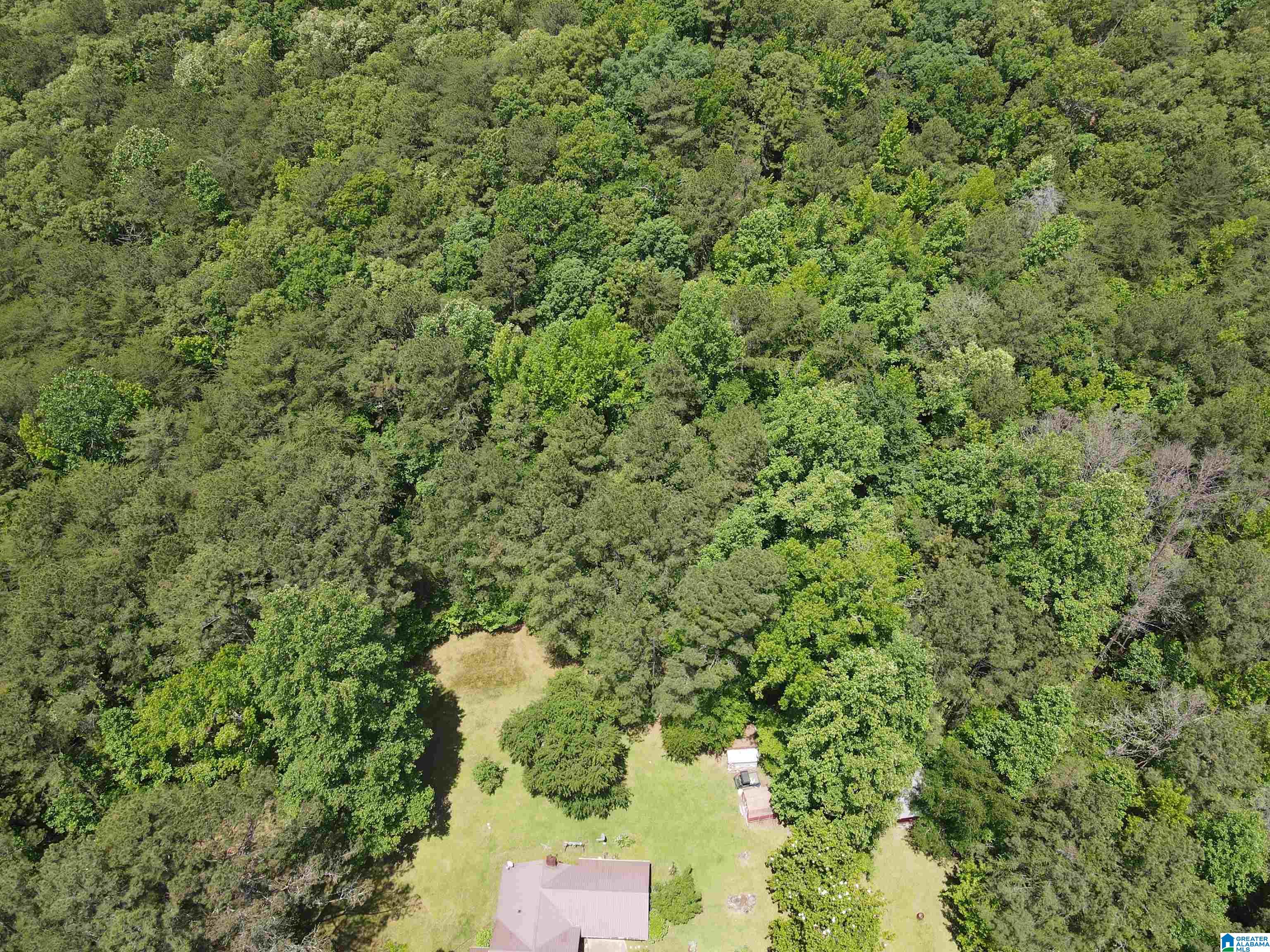 1081 Abel Road Delta, AL 36258 - Photo 31 of 32