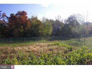 1008 Columbus Road Burlington, NJ 08016 - Photo 6 of 6