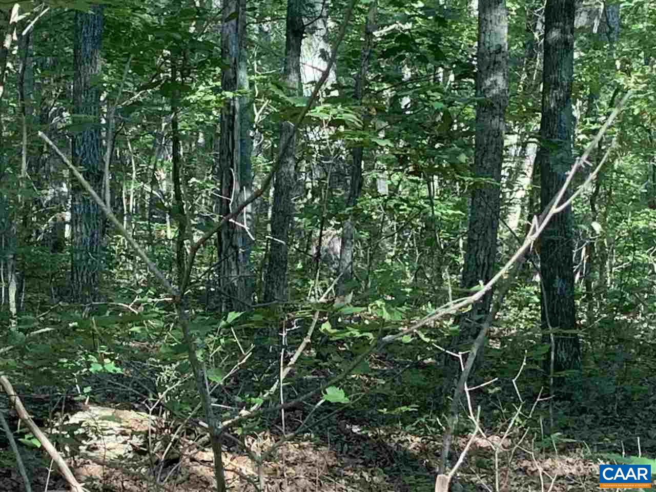 Duet Road Madison, VA 22727 - Photo 10 of 18 Gallery Image 10