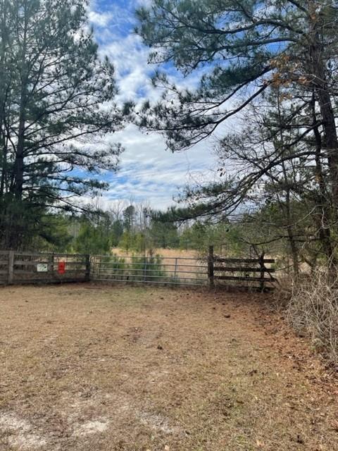 13142 Macon Road Upatoi, GA 31829 - Photo 1 of 1 Main View