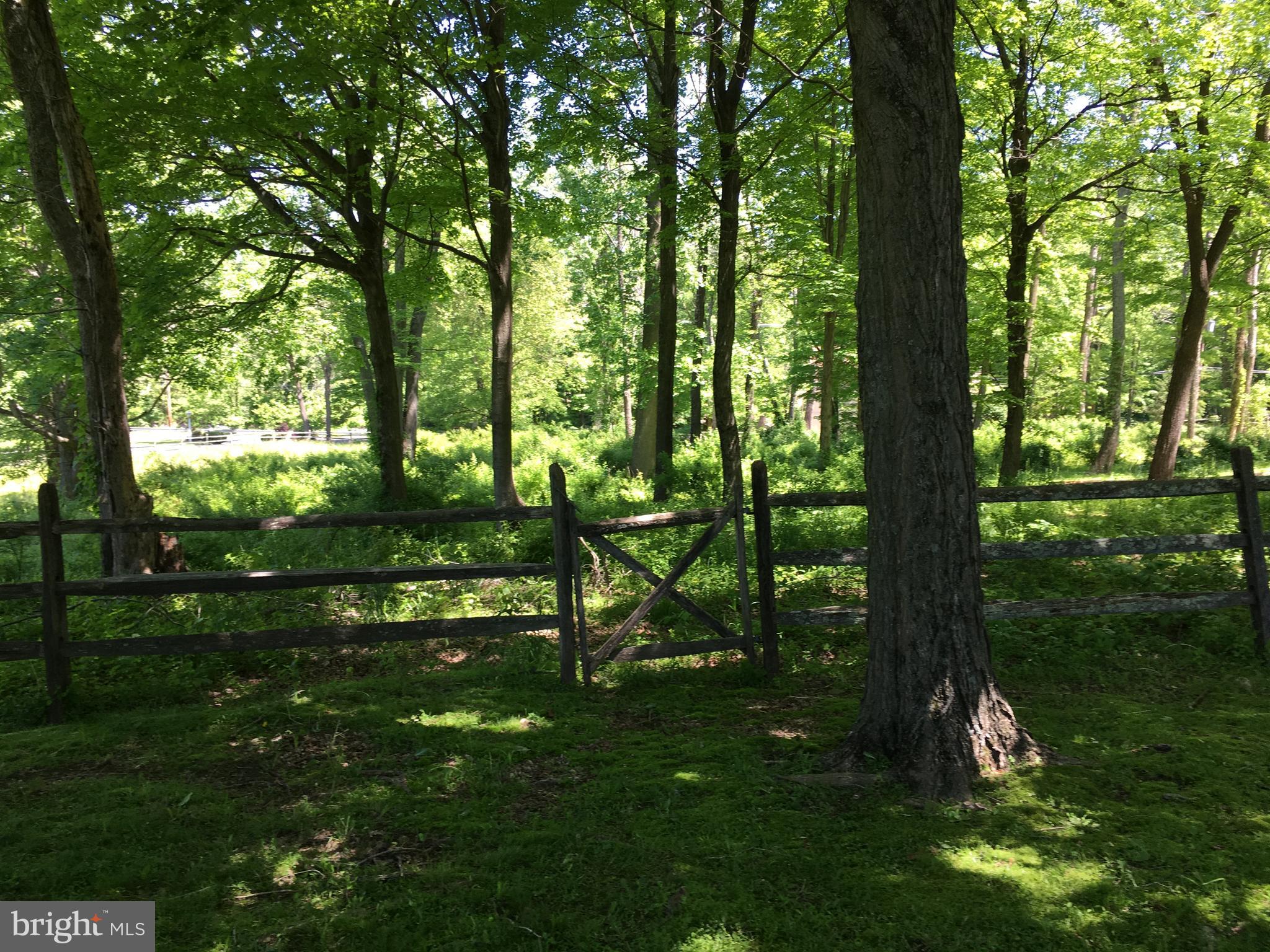 1500 Sacketts Ford Road Warminster, PA 18974 - Photo 40 of 43 Shadded paddock area