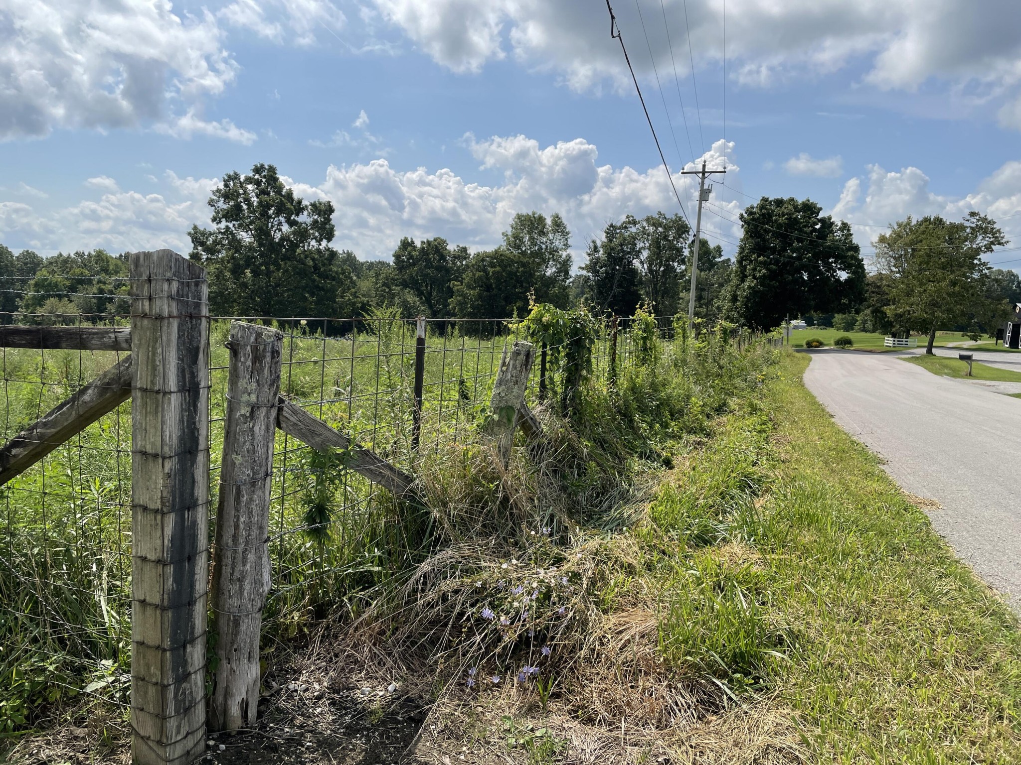0 Alf Threet Road Jamestown, TN 38556 - Photo 8 of 9 Gallery Image 8