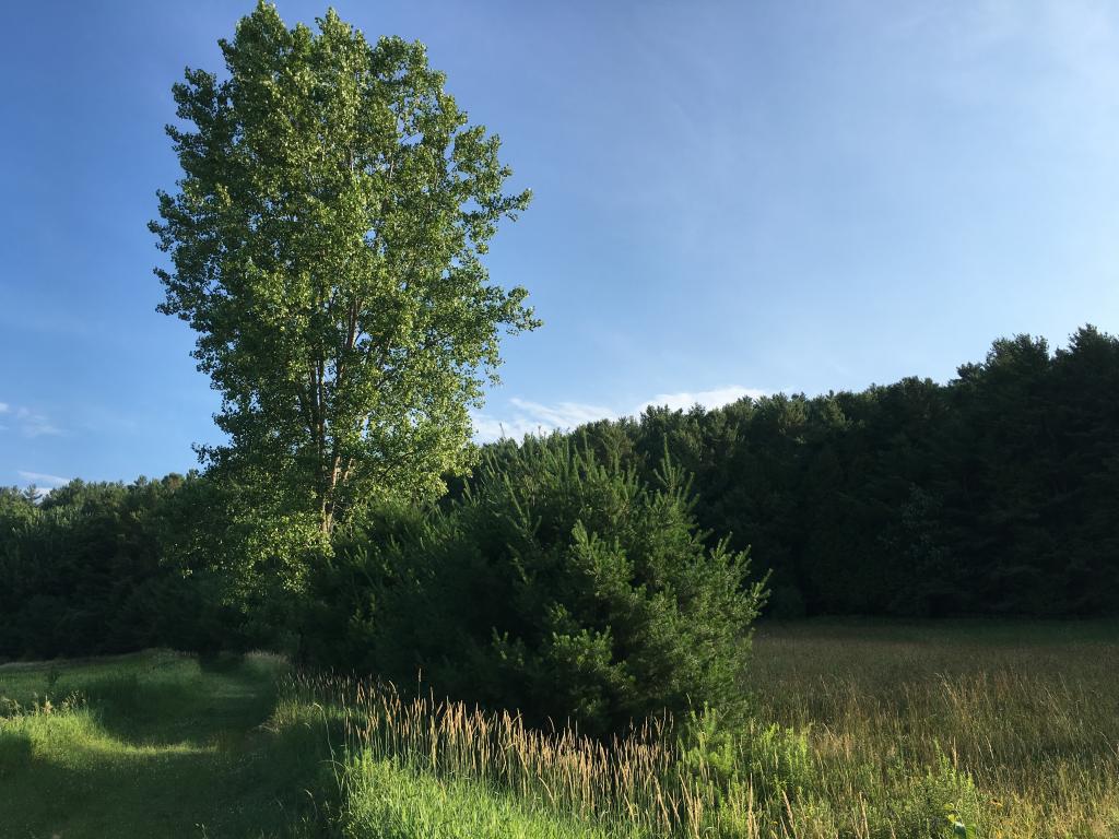 0 Morses Mill Road St. Johnsbury, VT 05819 - Photo 2 of 4 Gallery Image 2