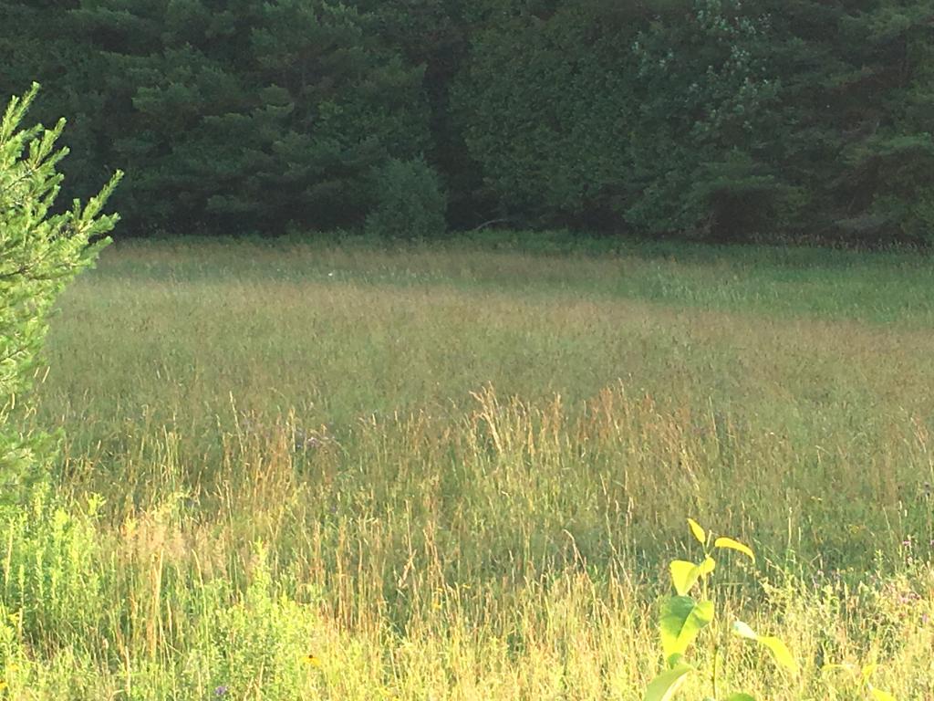 0 Morses Mill Road St. Johnsbury, VT 05819 - Photo 3 of 4 Gallery Image 3