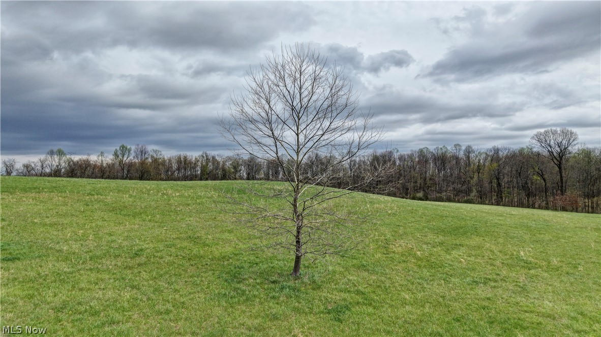 75964 Science Hill Road Kimbolton, OH 43749 - Photo 27 of 37