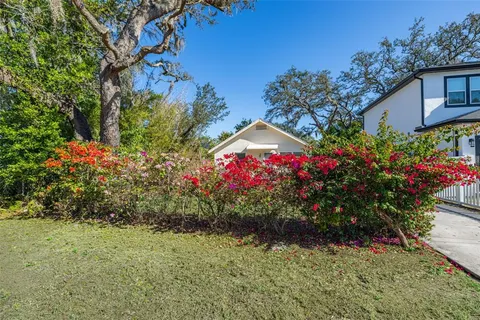 a view of a flower in a garden