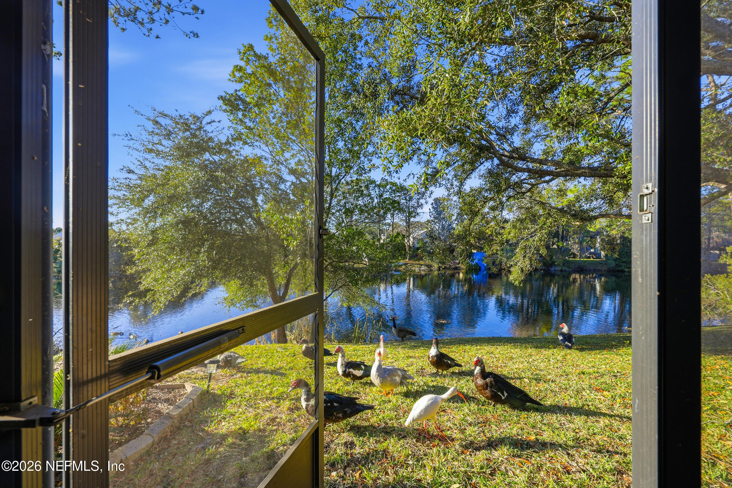 8715 Belle Rive Boulevard, Unit 1607 Jacksonville, FL 32256 - Photo 20 of 33 Lake View