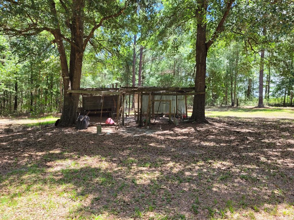 17639 North Creek Road Florala, AL 36442 - Photo 9 of 40