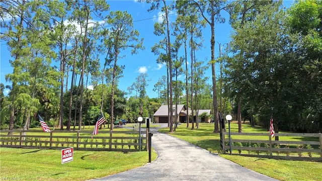 a view of a park with large trees