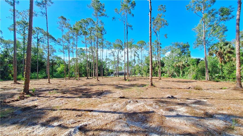 3690 27th Avenue Southwest Naples, FL 34117 - Photo 7 of 32 View from the back of the lot