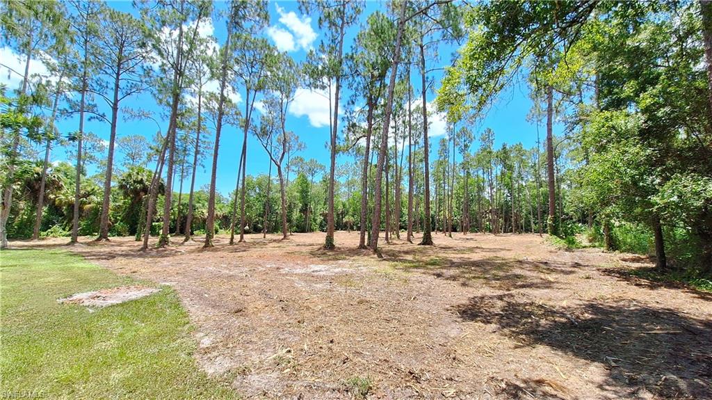 3690 27th Avenue Southwest Naples, FL 34117 - Photo 8 of 32 View of the back half of the lot