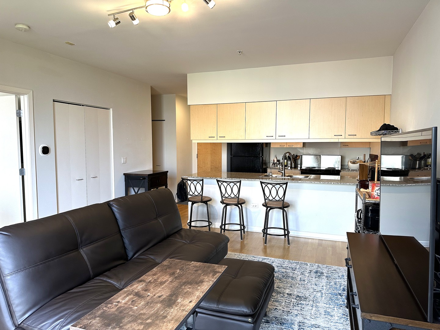 1720 Oak Avenue, Unit 706 Evanston, IL 60201 - Photo 2 of 27 a living room with furniture and a flat screen tv
