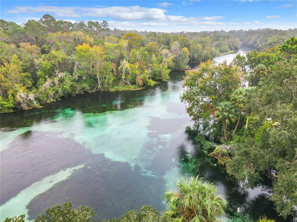 18825 Southwest 93rd Loop Dunnellon, FL 34432 - Photo 5 of 85 a view of a lake with a mountain