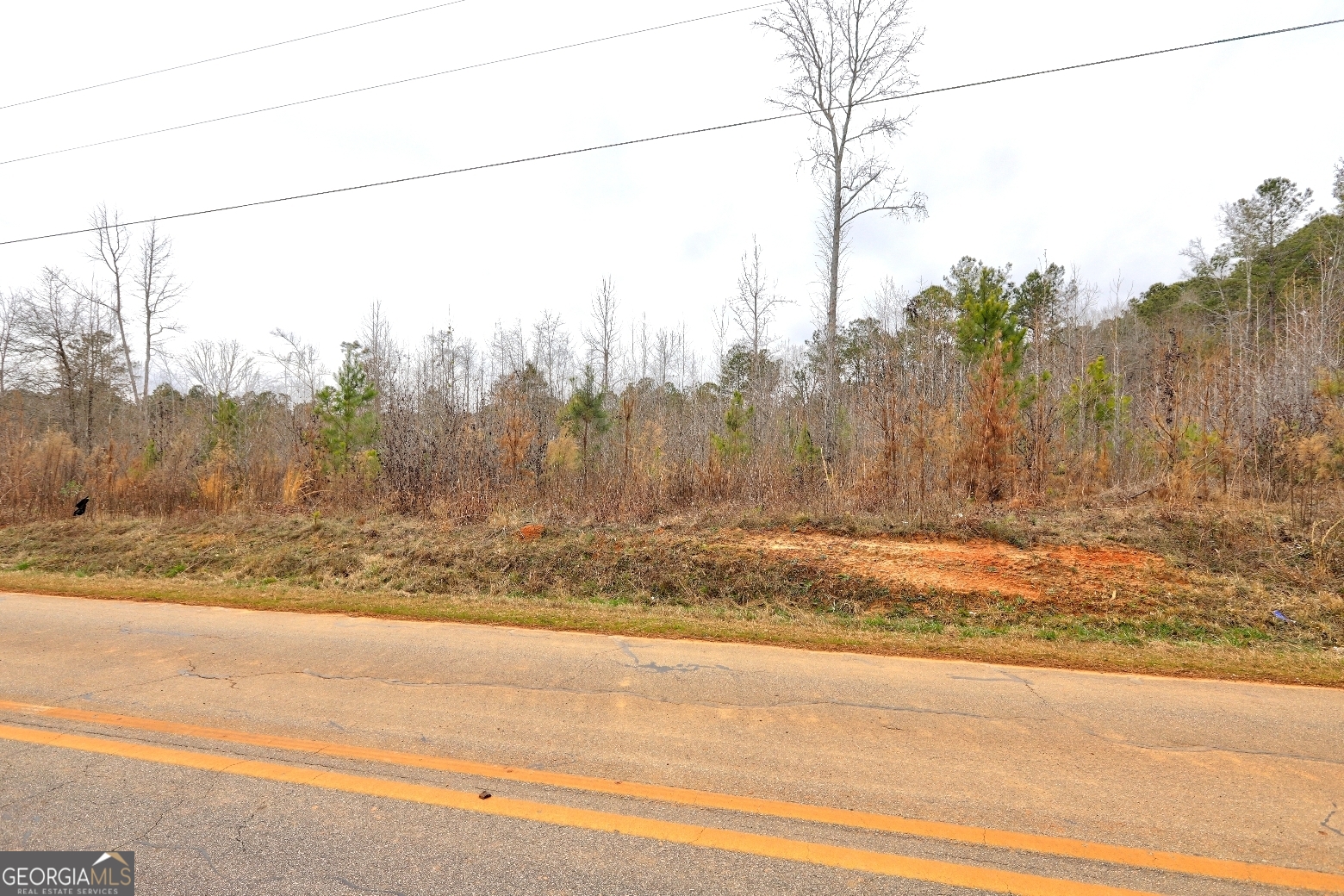 Lot 5 Cochran Road Madison, GA 30650 - Photo 13 of 15