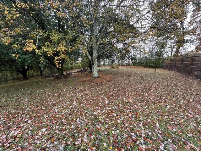 a backyard of a house with lots of green space