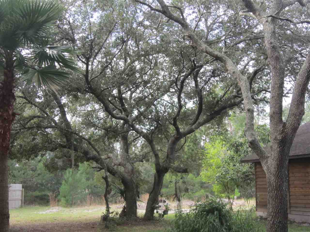 850 D Oak Ridge Road St. Augustine, FL 32086 - Photo 9 of 24