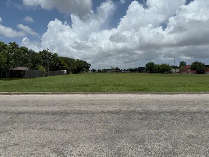 a view of a yard and a large trees