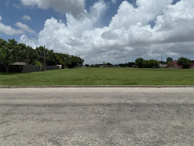 a view of a yard and a large trees