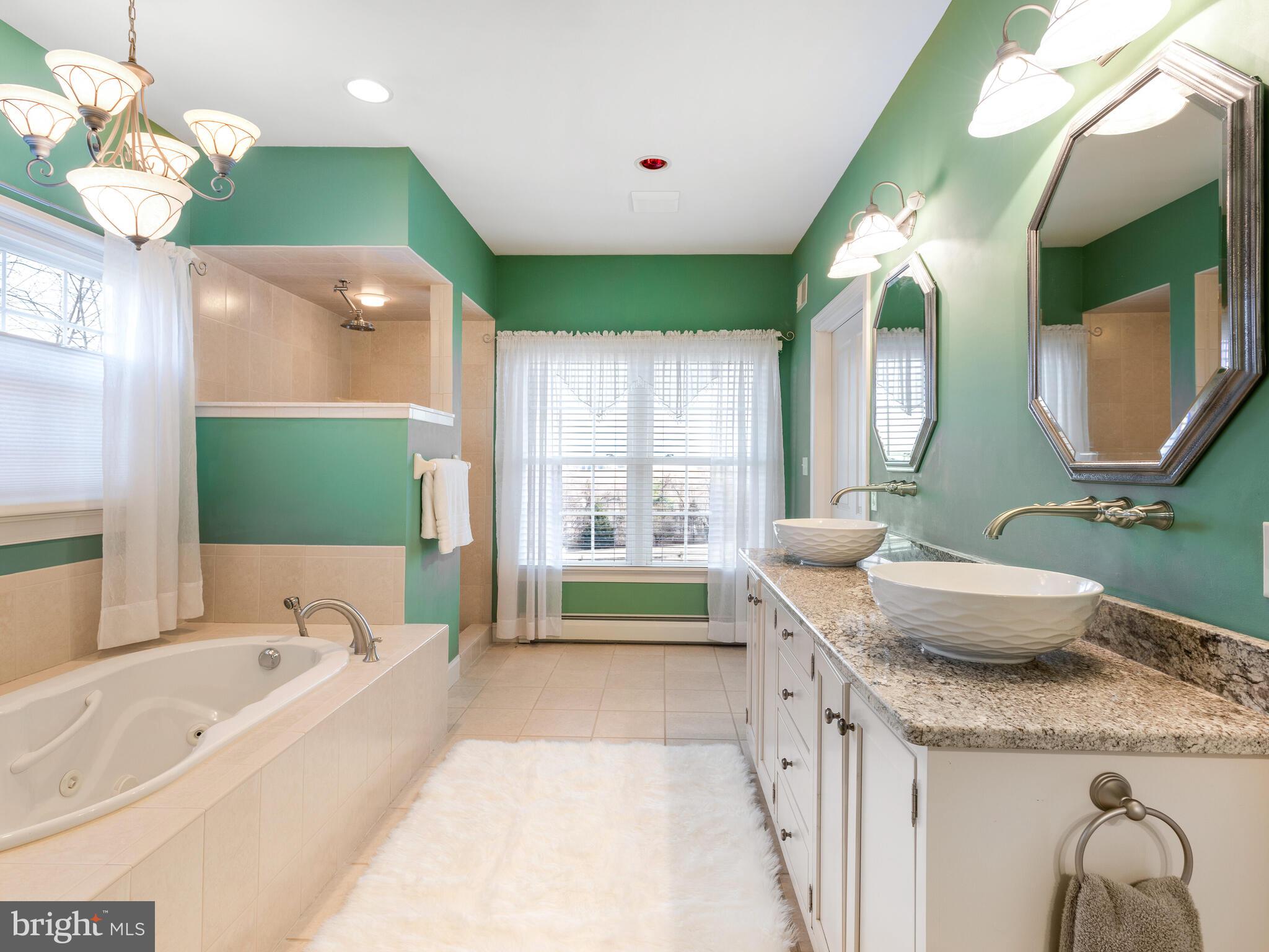 440 Black Horse Road Chester Springs, PA 19425 - Photo 26 of 50 Luxurious Main Bath w/whirlpool/dual head shower!