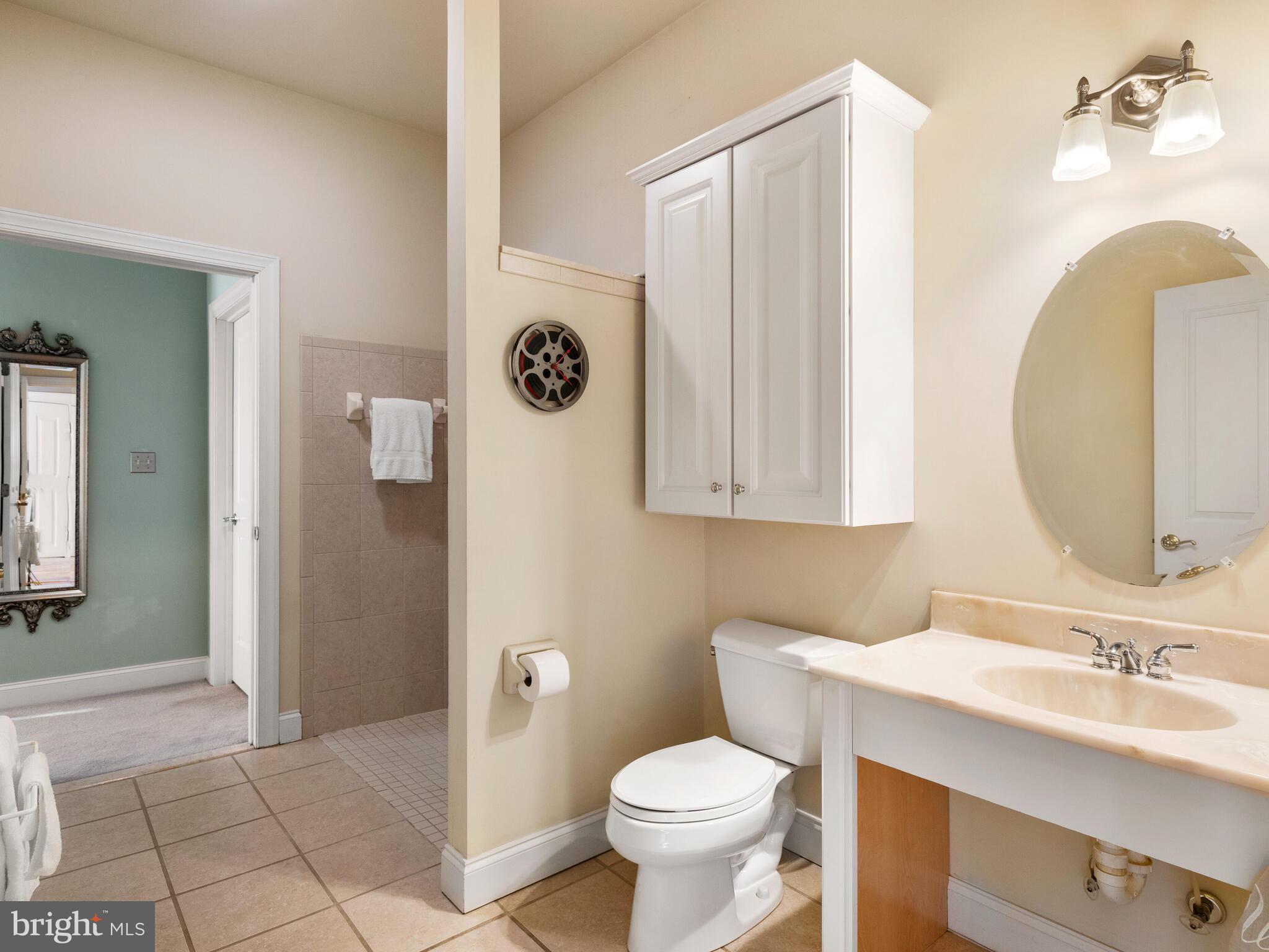 440 Black Horse Road Chester Springs, PA 19425 - Photo 41 of 50 Walk-in Shower in the In-Law Suite Bath