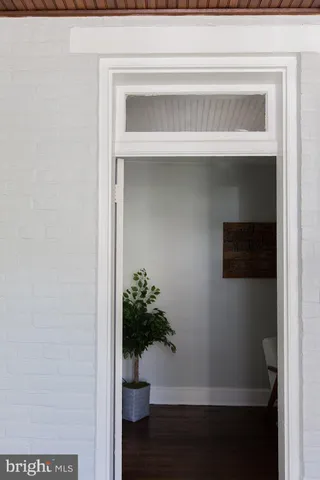 a potted plant sitting on top of a shelf