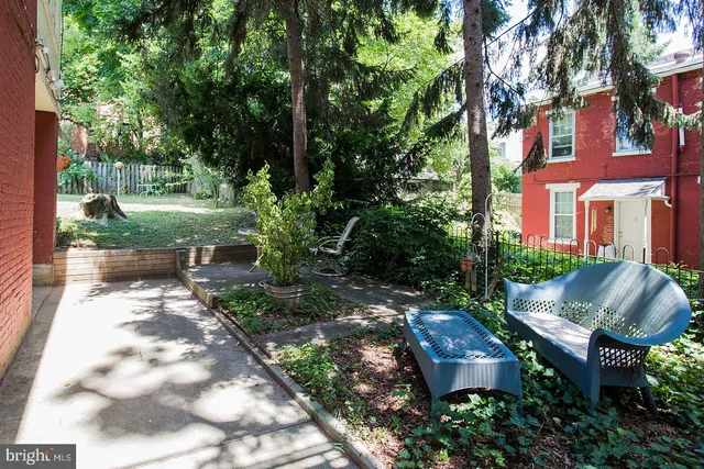 a view of backyard with table and chairs and a large tree