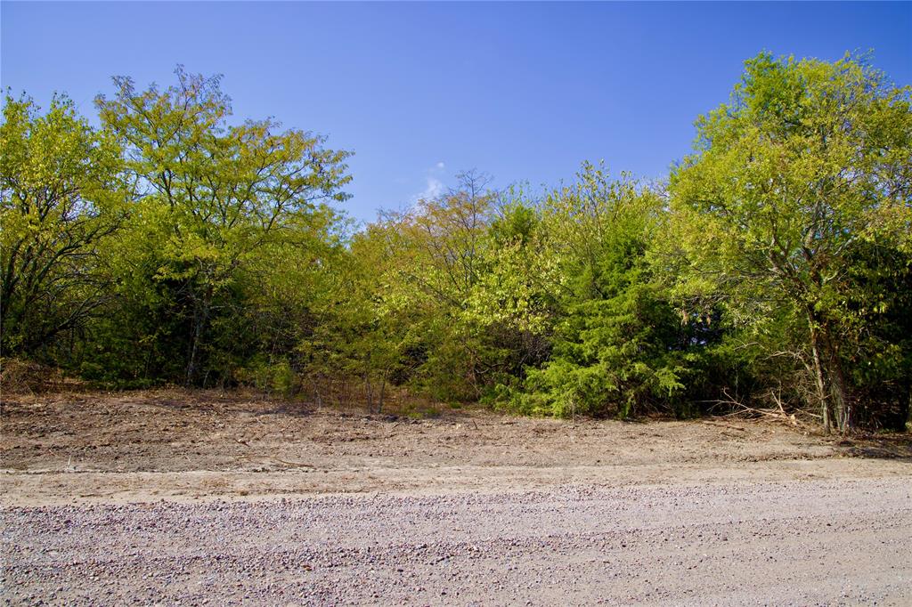 1 County Road 2935 Dodd City, TX 75438 - Photo 8 of 25 a view of a yard with a tree