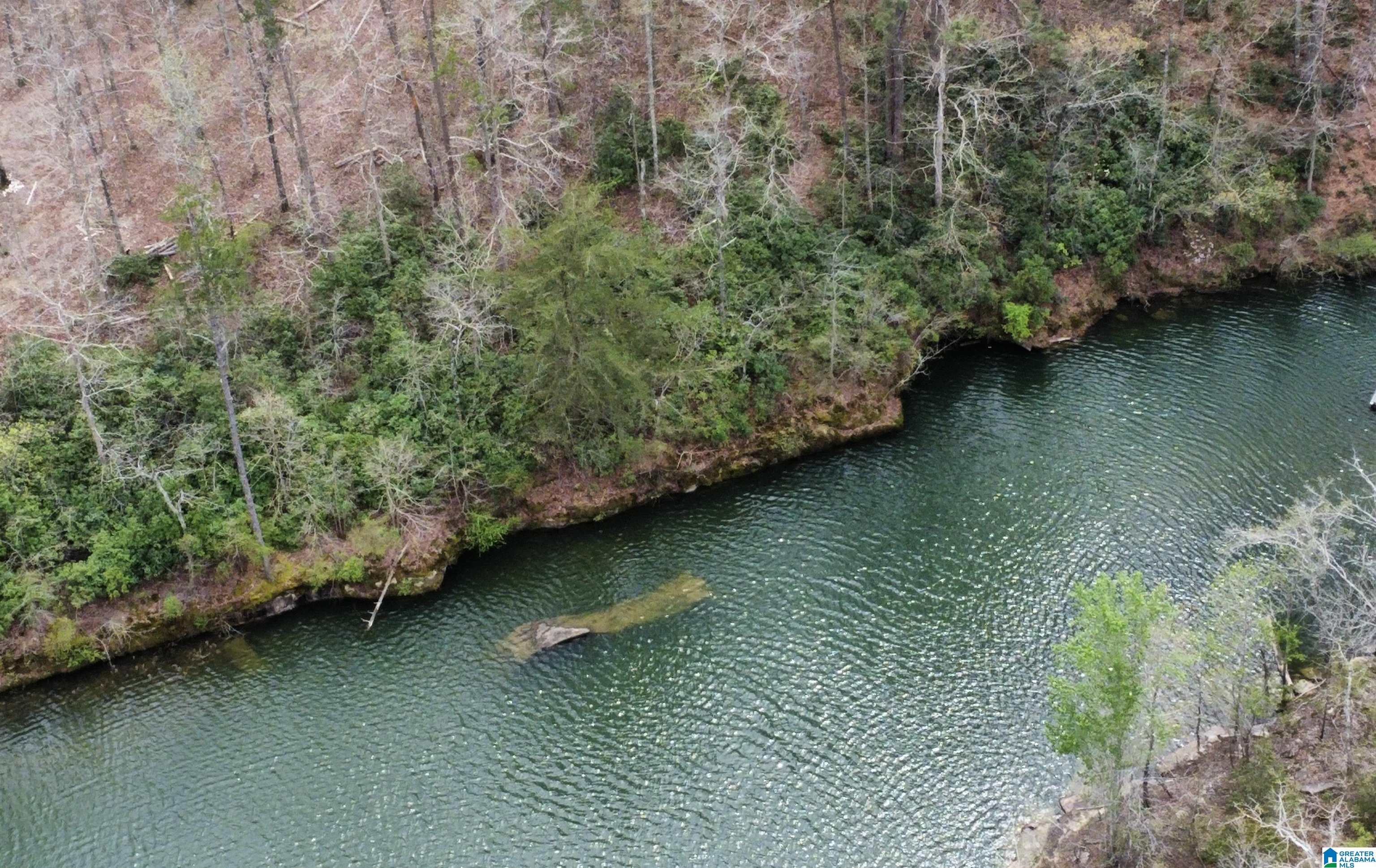 Lot 5 Little Dismal Road, Unit 5 Arley, AL 35541 - Photo 1 of 12