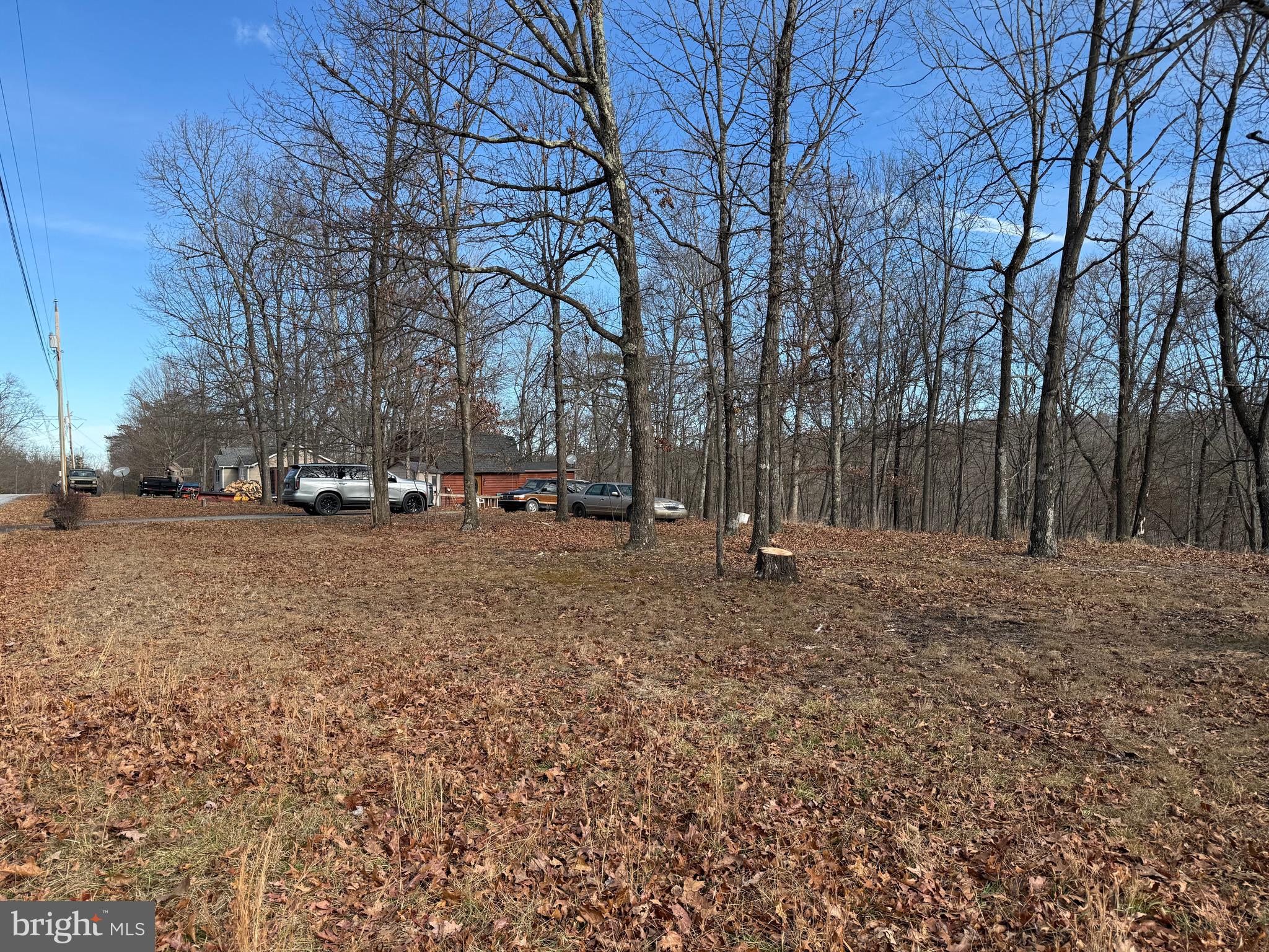 692 Plum Tree Lane Berkeley Springs, WV 25411 - Photo 13 of 14 a view of road with trees