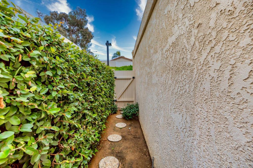 6882 Batiquitos Drive Carlsbad, CA 92011 - Photo 31 of 47 a view of a yard with plants