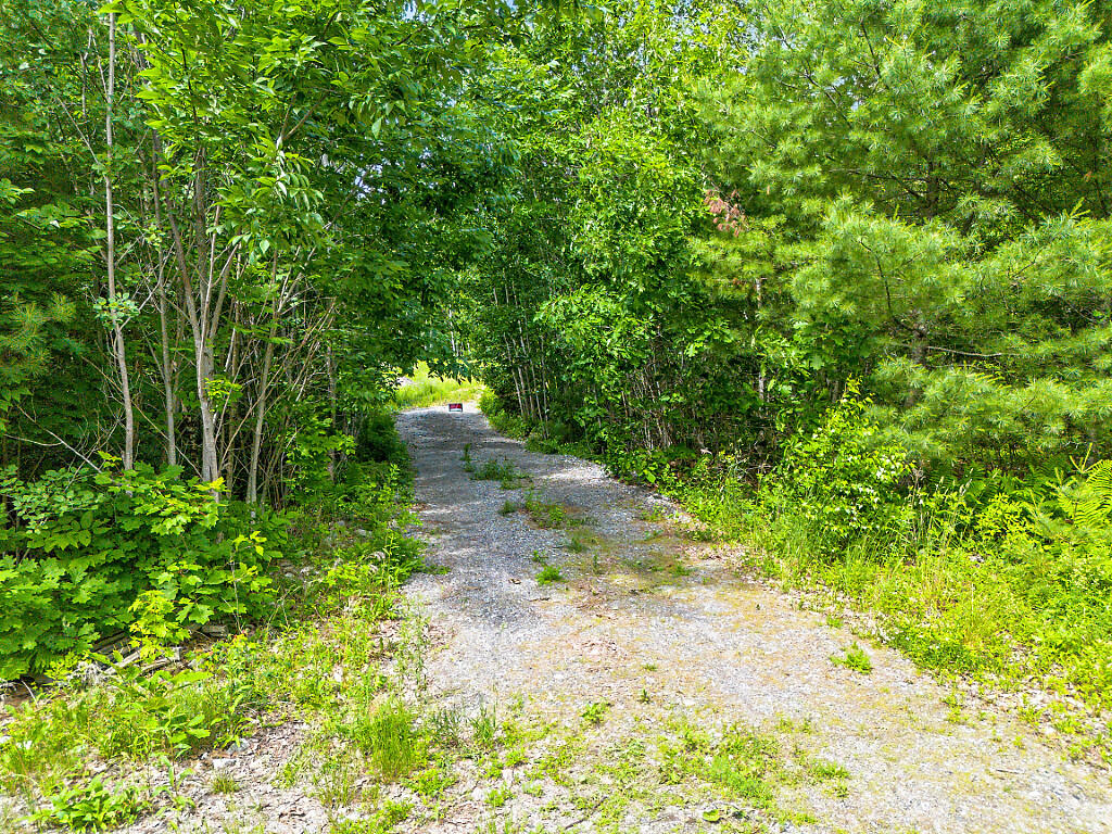 0 Burkettville Road Appleton, ME 04862 - Photo 4 of 17 04_DJI_0057_DxO_mls