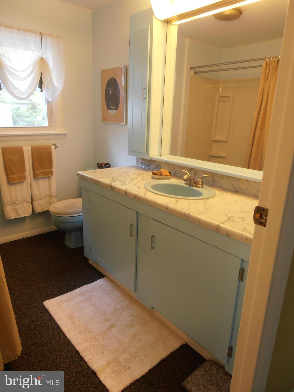 201 Olive Branch Road Stevensville, MD 21666 - Photo 14 of 30 Bath