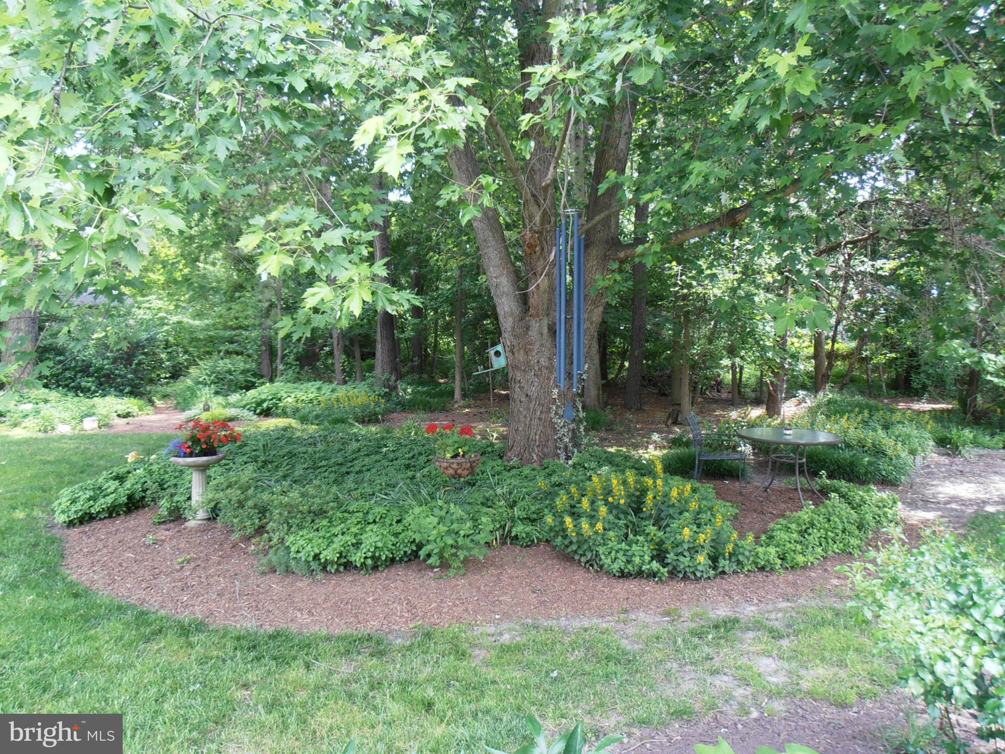 201 Olive Branch Road Stevensville, MD 21666 - Photo 9 of 30 Exterior (General)