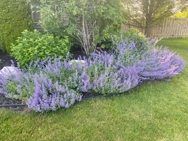 $485,000 | 4779 Pleasant Meadow, St. Joseph, MI 49085