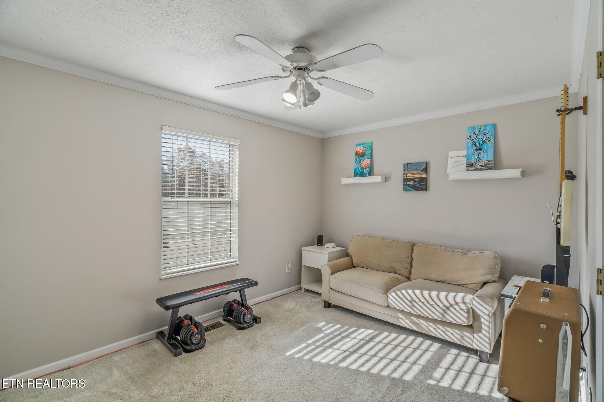 172 Edgewood Drive Powell, TN 37849 - Photo 21 of 29 a living room with furniture and a window