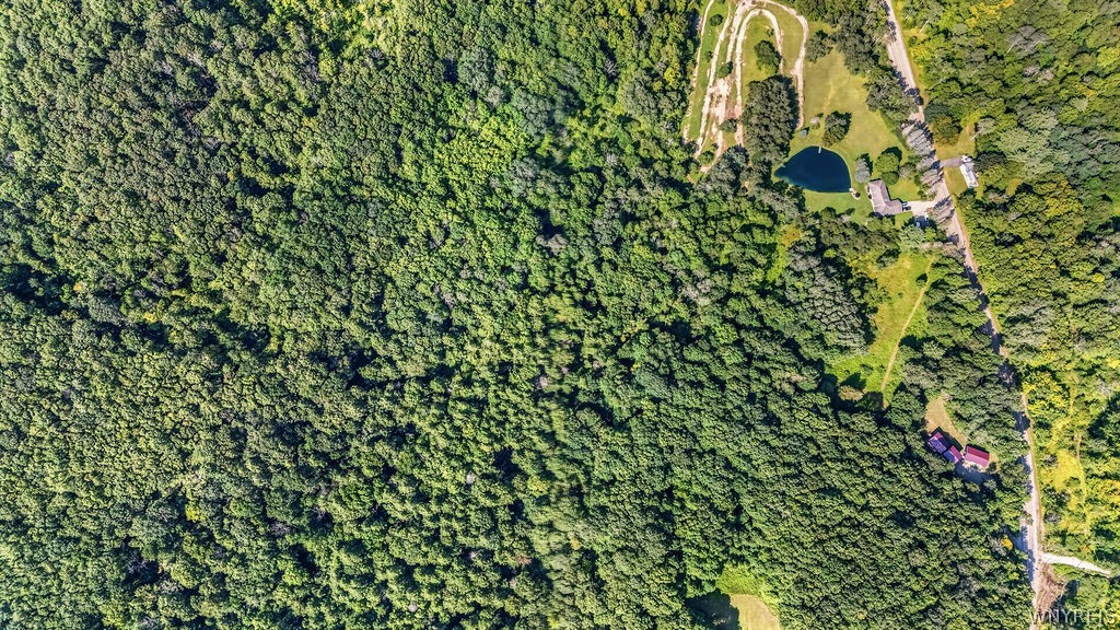 4927 Gooseneck Road Delevan, NY 14042 - Photo 41 of 43 Gallery Image 41