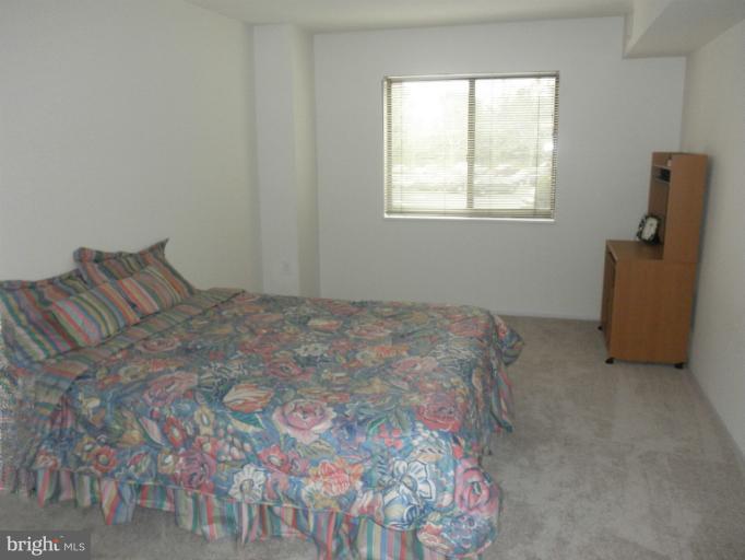 15100 Interlachen Drive, Unit 4111 Silver Spring, MD 20906 - Photo 12 of 28 Bedroom