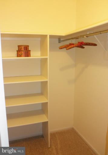 15100 Interlachen Drive, Unit 4111 Silver Spring, MD 20906 - Photo 13 of 28 Bedroom Walk-in Closet