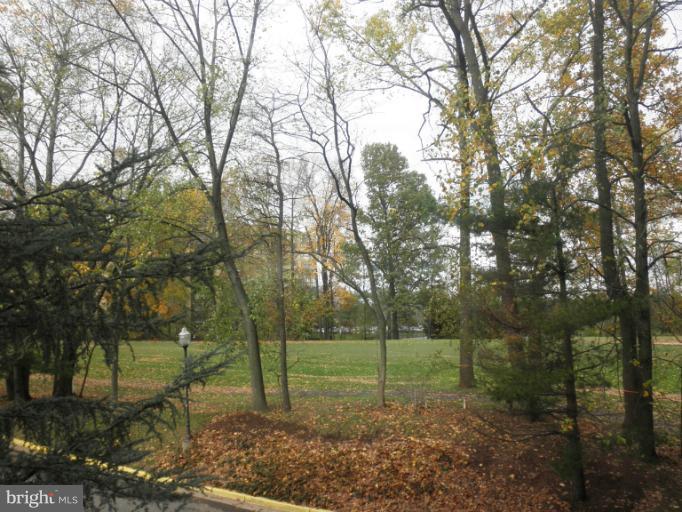 15100 Interlachen Drive, Unit 4111 Silver Spring, MD 20906 - Photo 16 of 28 View from Kitchen