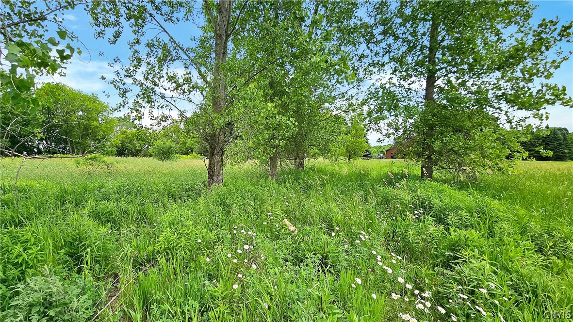 9692 E Road, Unit 9688 Denmark, NY 13367 - Photo 10 of 10