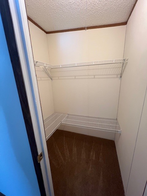 6448 Payne Road Portland, TN 37148 - Photo 12 of 28 a view of walk in closet with empty racks