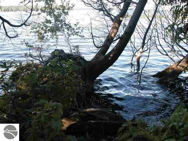3100 East Duck Lake Road Grawn, MI 49637 - Photo 5 of 9 1694794-4.JPG