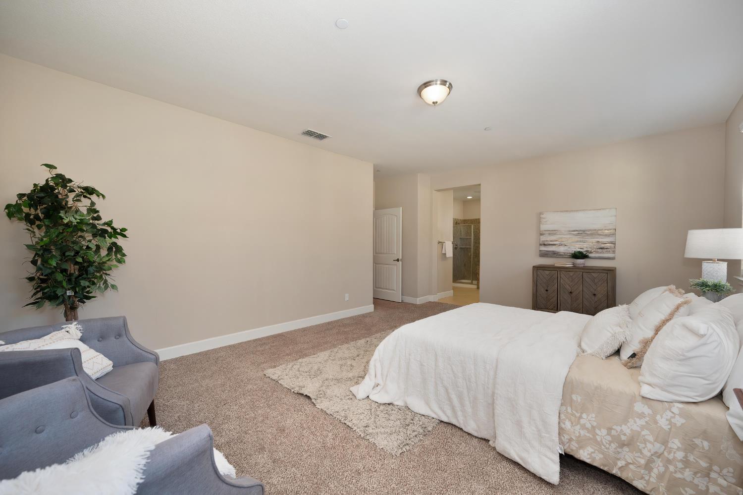 908 Lyon Place Roseville, CA 95747 - Photo 21 of 31 a bedroom with a bed and a potted plant